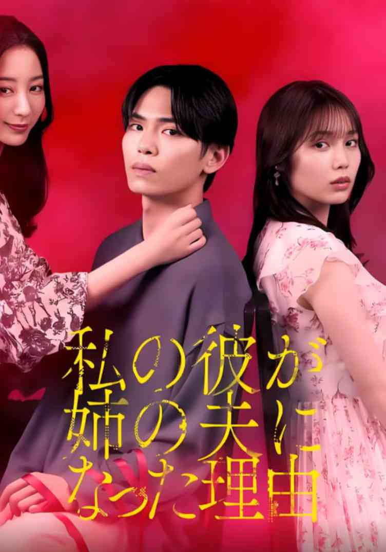 《我男友成了姐夫的理由》免费在线播放｜爱情,悬疑·日本