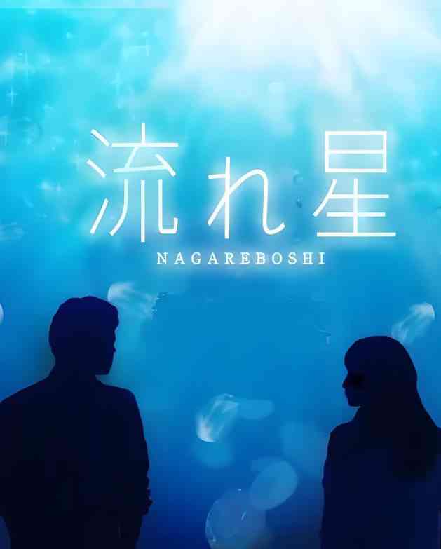 《流星》免费在线播放｜剧情,爱情·日本