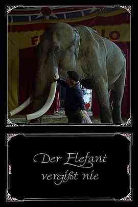 《大象永不忘记》免费在线播放｜剧情·德国
