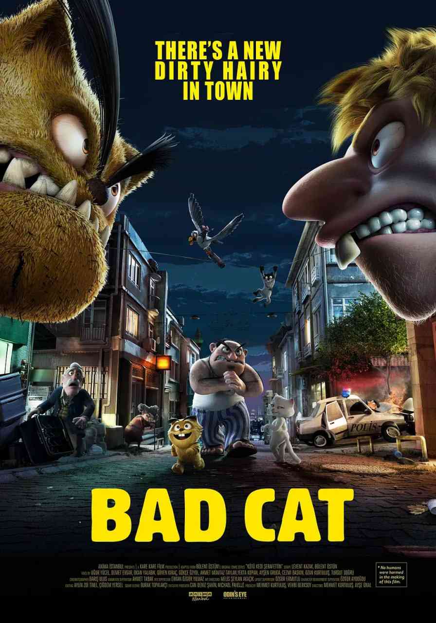 《痞子猫》免费在线播放｜喜剧,动作,动画·土耳其