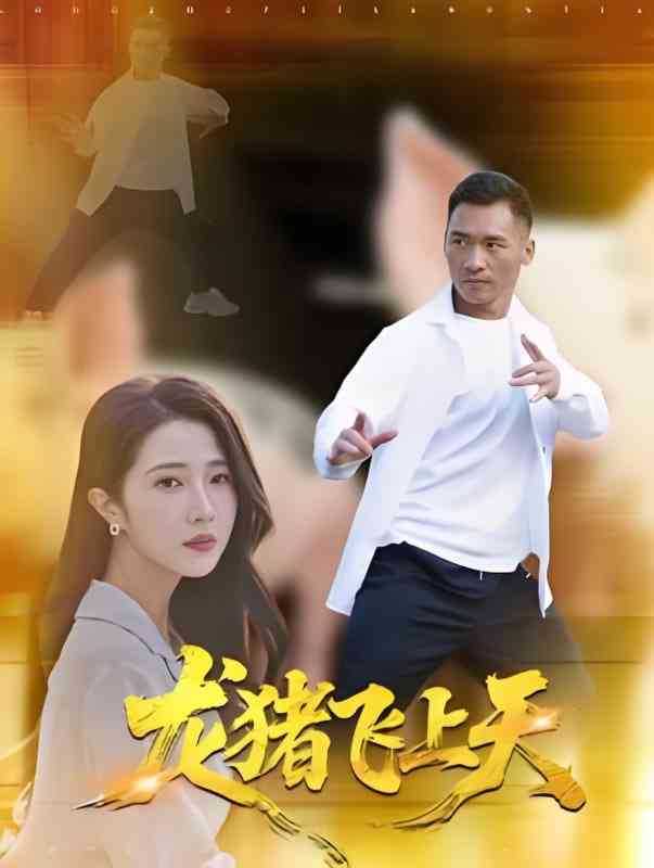 《龙猪飞上天》免费在线播放｜剧情·中国大陆