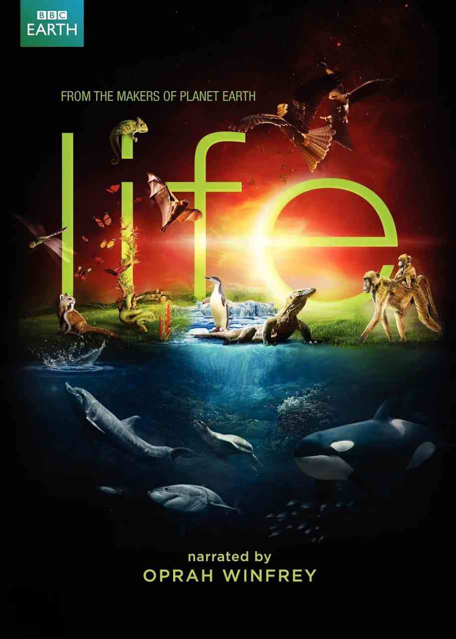 《生命 2009》免费在线播放｜纪录片·英国,希腊