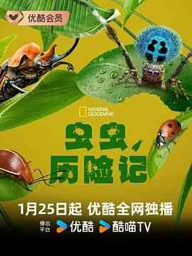 《虫虫历险记 第一季》免费在线播放｜纪录片,冒险,纪录·美国