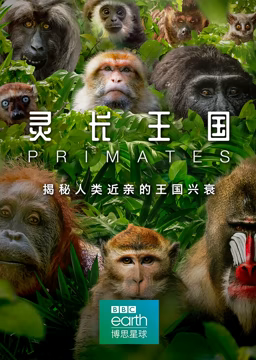 《灵长王国》免费在线播放｜纪录片,纪录·中国大陆