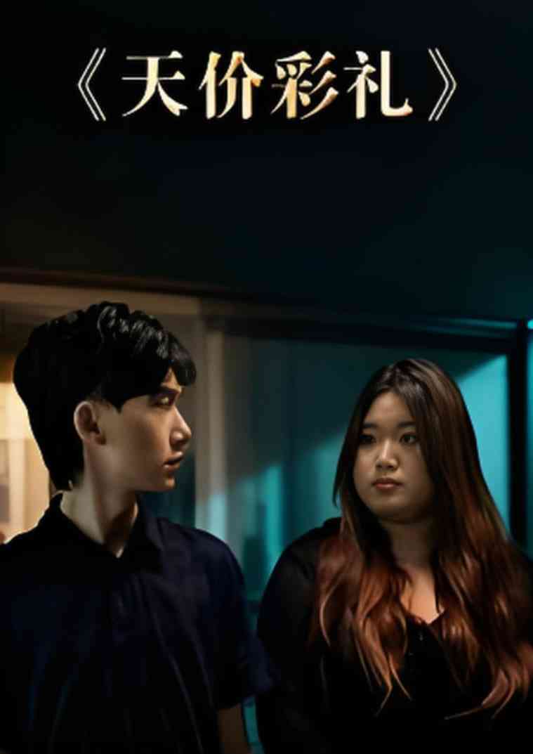 《天价彩礼》免费高清无广告在线播放|短剧·中国大陆·2025