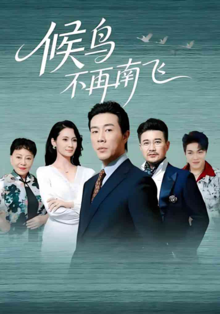 《候鸟不再南飞》免费高清无广告在线播放|短剧·中国大陆·2025