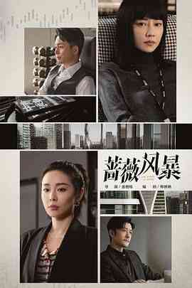 《蔷薇风暴》免费高清无广告在线播放|剧情,内地剧,国产·中国大陆·2024