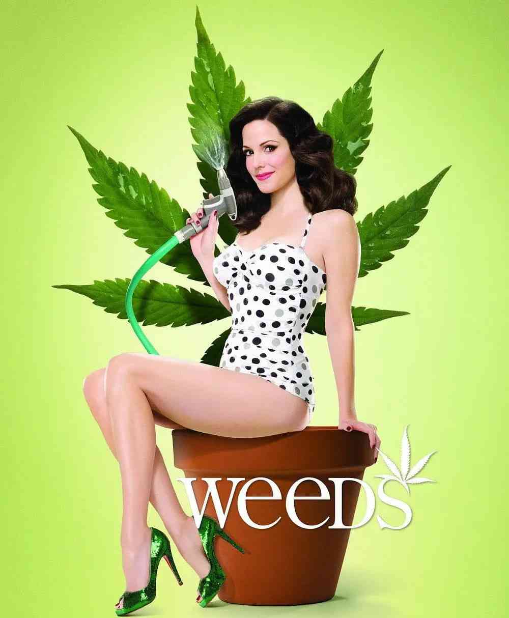 《单身毒妈 第四季》免费高清无广告在线播放|剧情,喜剧,家庭,犯罪·美国·2008