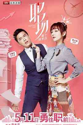 《职场是个技术活》免费高清无广告在线播放|剧情,爱情·中国大陆·2017