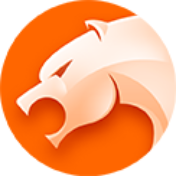 《猎豹安全浏览器9.0.112》免费下载|系统工具·9.0.112