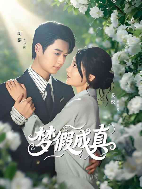 《梦假成真》免费高清无广告在线播放|短剧·中国大陆·2025