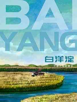 《白洋淀》最新免费高清电影无广告在线播放|纪录片,纪录·中国大陆·2024