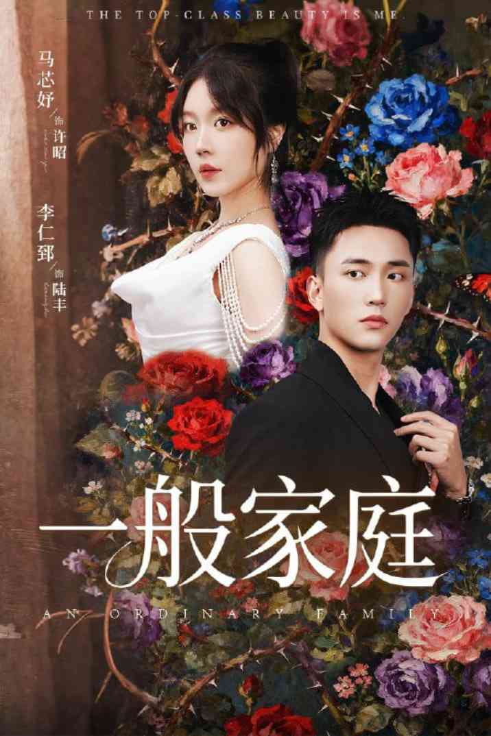 《一般家庭》全集免费高清短剧无广告在线播放|短剧·中国大陆·2025