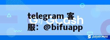 菲律宾专属多国支付解决方案：全面覆盖，高效结算