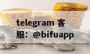 B PAY海外支付通道，诚信经营，全面支持USDT提现及多行业支付！